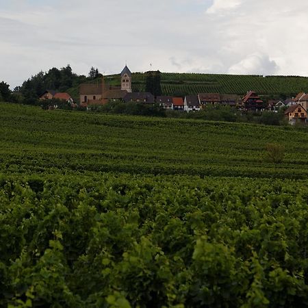 Domaine Roland Geyer Bed & Breakfast Nothalten Luaran gambar