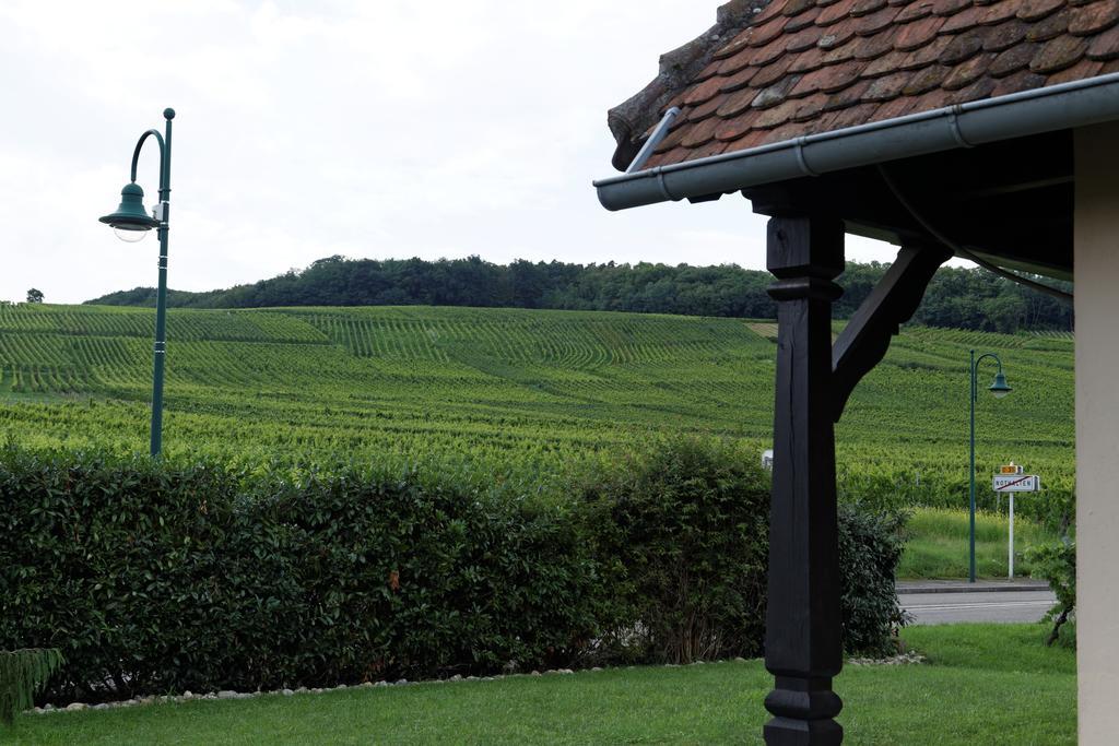 Domaine Roland Geyer Bed & Breakfast Nothalten Luaran gambar